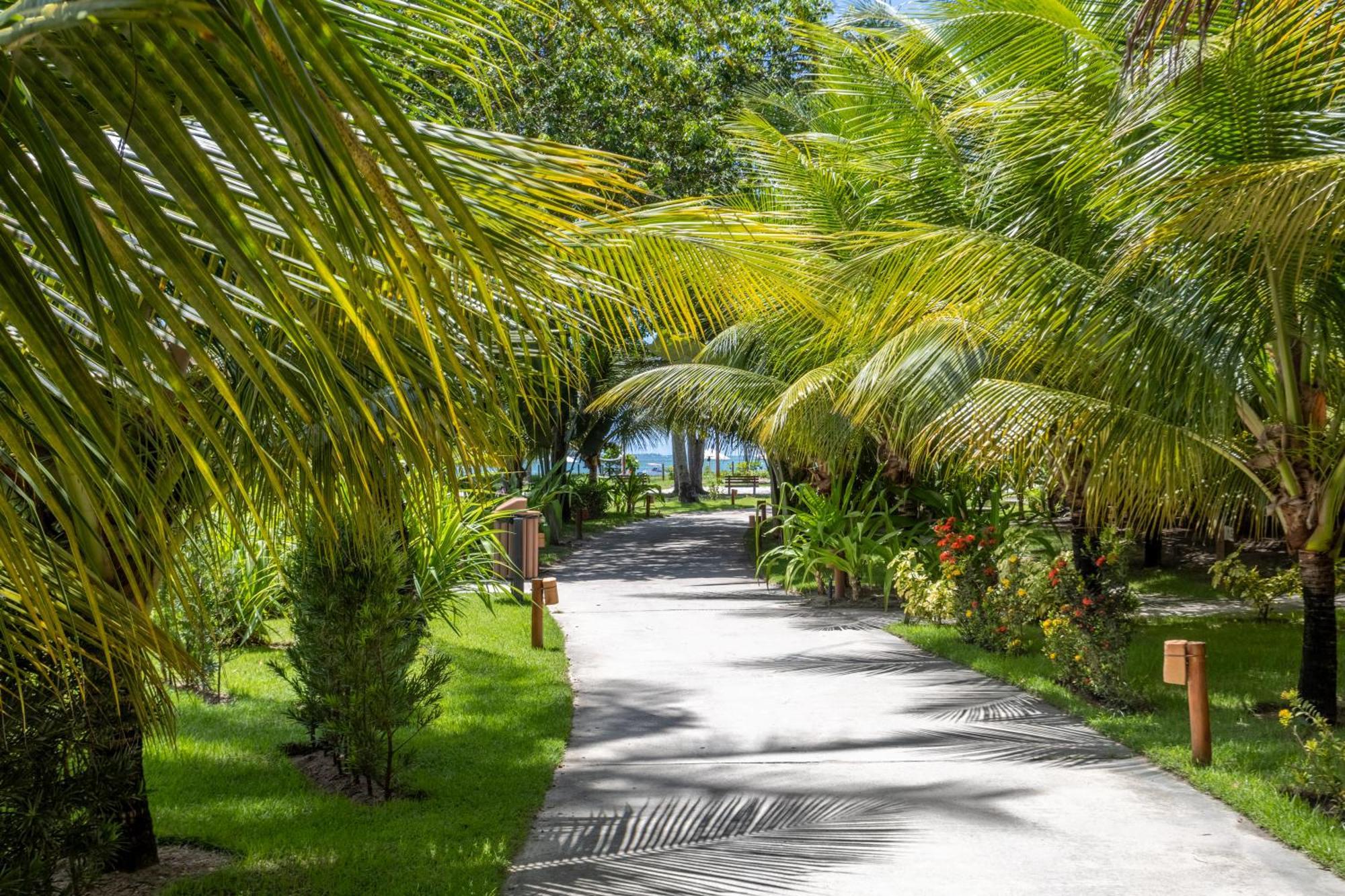 Vista Linda Eco Resort Carneiros Tamandaré Zewnętrze zdjęcie